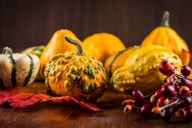 Şükran günü ve Halloween pumpkins hala hayat
