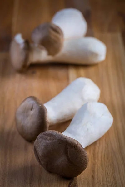 Delicious Raw King Oyster Mushrooms — Stock Photo, Image