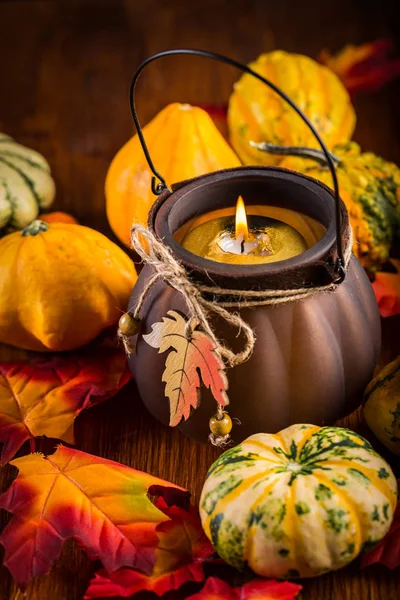 Hálaadás Halloween Pumpkins Csendélet — Stock Fotó