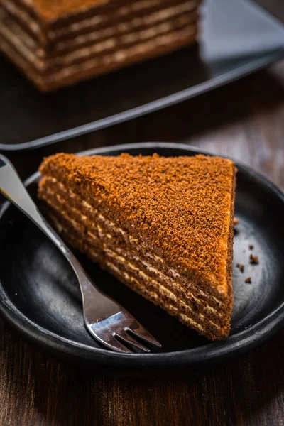 Вкусный Шоколадный Медовый Торт — стоковое фото