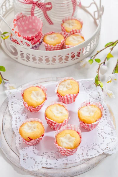 Small curd cheese muffins or cupcakes — Stock Photo, Image