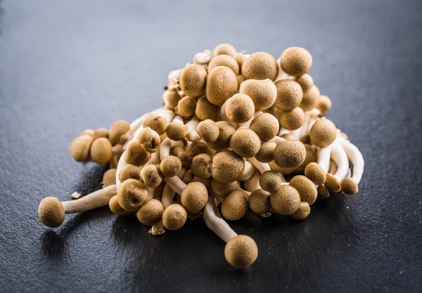 Buna Shimeji - edible mushroom from East Asia — Stock Photo, Image