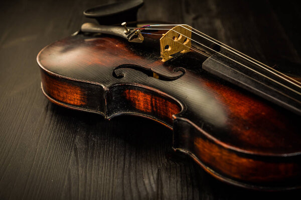 Close view of old violin and strings in vintage style
