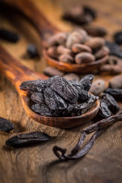 Tonka Fragante Granos Cacao Con Vainilla Para Hornear Cocinar Sobre —  Fotos de Stock