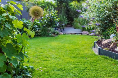 Çimleri yeni biçilmiş ve çiçekli güzel bir bahçe manzarası. Ön plan bitkilerine yumuşak bir odak.