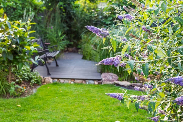Vista Panorámica Del Hermoso Jardín Con Césped Recién Cortado Macizo —  Fotos de Stock