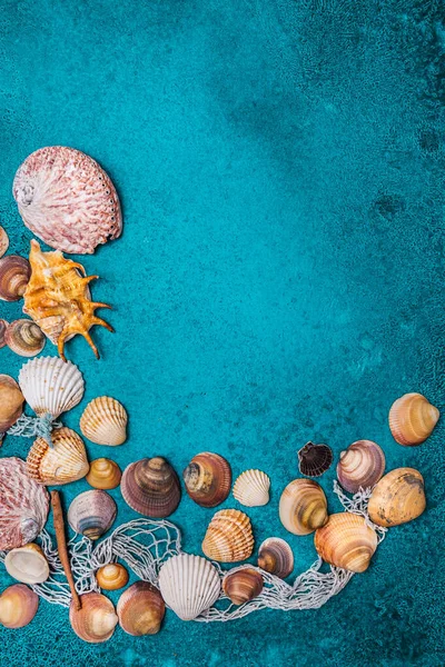 夏のビーチの背景フレーム シアンの背景に貝殻 貝殻のコレクション — ストック写真