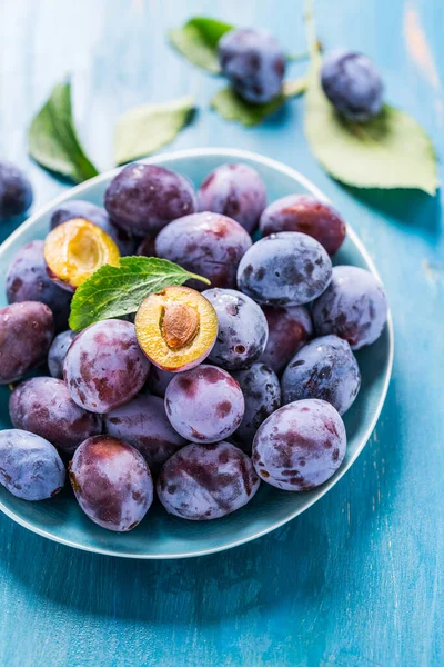 Ameixas Maduras Recém Colhidas Zwetschgen Frutas Tigela Sobre Fundo Ciano — Fotografia de Stock