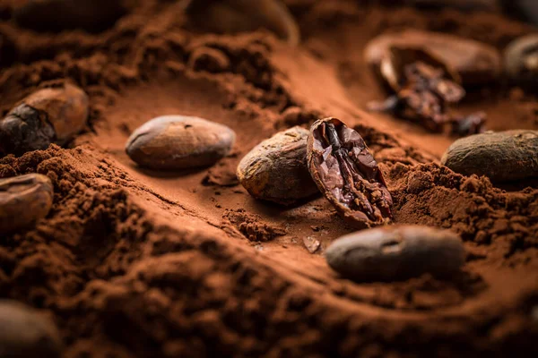 Organický Kakaový Prášek Kakaovými Boby Pečení Pečení Vaření Ingredience — Stock fotografie