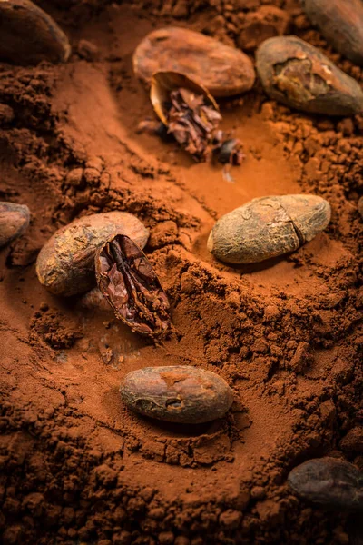 Polvo Cacao Orgánico Con Granos Cacao Para Hornear Hornear Cocinar —  Fotos de Stock