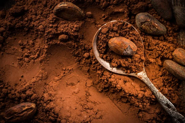 Polvo Cacao Orgánico Con Granos Cacao Para Hornear Hornear Cocinar —  Fotos de Stock