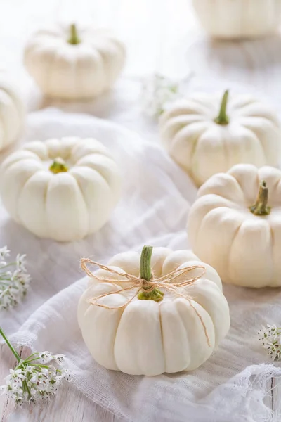 Decoración Calabazas Blancas Para Acción Gracias Mesa Madera —  Fotos de Stock