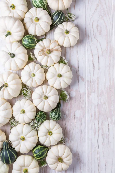 Frontera Otoño Para Acción Gracias Con Pequeñas Calabazas Blancas Verdes —  Fotos de Stock