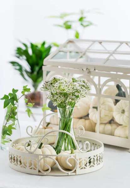 Výzdoba Stolu Díkůvzdání Bílými Dýněmi Sladkými Česnekovými Květy Tulbaghia Violacea — Stock fotografie