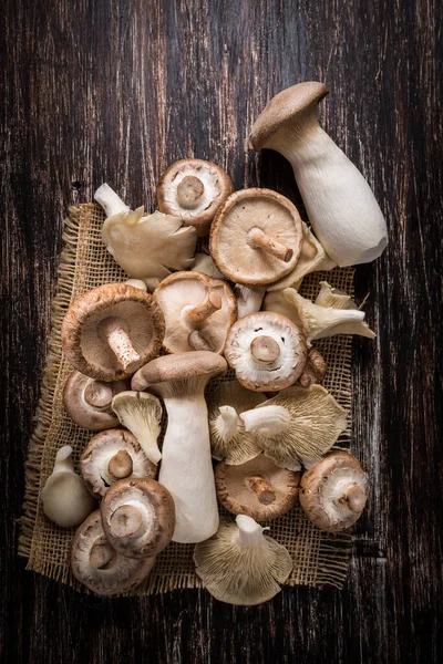Variation Edible Mushrooms Wooden Background Shiitake Champignon Porcini Oyster Mushrooms — Stock Photo, Image