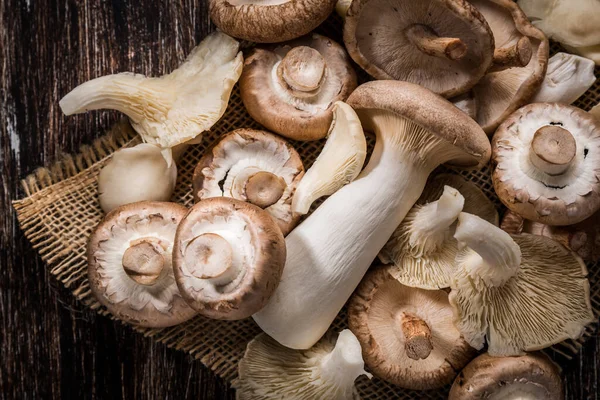 Variation Edible Mushrooms Wooden Background Shiitake Champignon Porcini Oyster Mushrooms — Stock Photo, Image