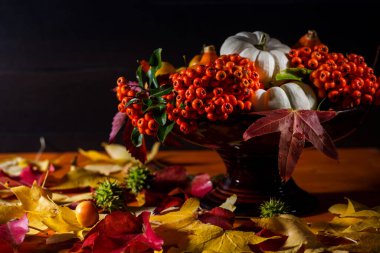 Sonbahar, renkli yapraklarla ve Şükran Günü için siyah arka planda sonbahar deco meyveleriyle sakin bir hayattır.