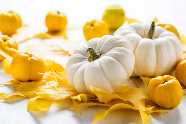 Sonbahar Renkli Yapraklarla Sonbahar Deco Meyveleriyle Şükran Günü Için Beyaz — Stok fotoğraf