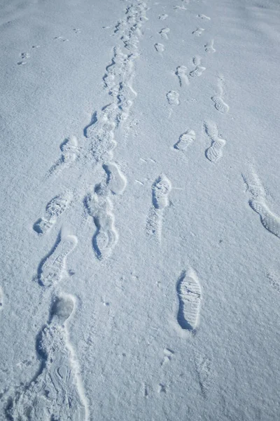 Φρέσκο Χιόνι Πρωινό Φως Του Ήλιου Ίχνη Ποδιών Επιλεκτική Εστίαση — Φωτογραφία Αρχείου