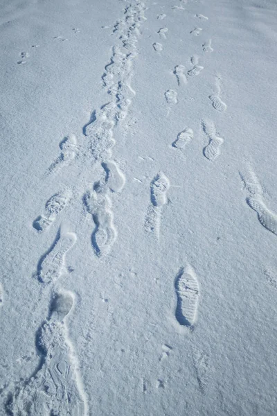 Neve Fresca Con Luce Del Sole Mattutina Con Impronte Piedi — Foto Stock