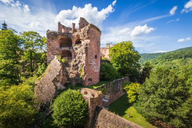 Almanya 'nın Neckar nehri üzerindeki tarihi şehirle Heidelberg harabesi