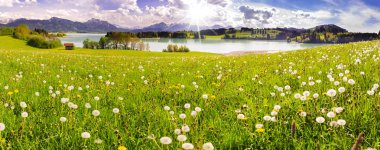 panoramik, yatay, Bavyera Alpleri dağ ve göl Forggensee