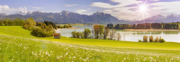 Vista Ampla Ângulo Para Alpes Gama Montanhas Espelhamento Lago Forggensee — Fotografia de Stock