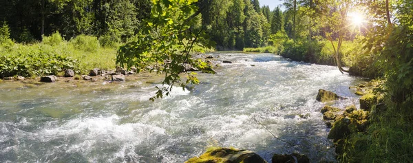 Canyon with river Ammer in Bavaria — Stock Photo, Image