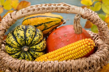 Şükran günü kabak ve yaprakları ile