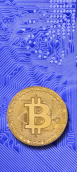 Κρυπτό Νόμισμα Bitcoin Τοποθέτηση Μητρική Πλακέτα Υπολογιστή — Φωτογραφία Αρχείου