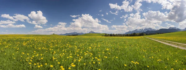 Panoramiczny Widok Wiejski Krajobraz Bawarii Wiosenny — Zdjęcie stockowe