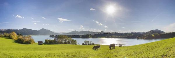 Панорамный Вид Красивый Пейзаж Баварии Озером Горами — стоковое фото