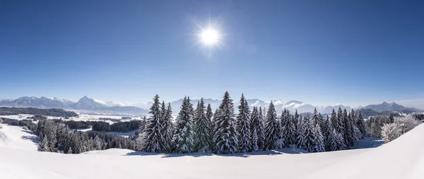 Panoramatický Krajinu Pohoří Alp Bavorsku Německo Zimě — Stock fotografie