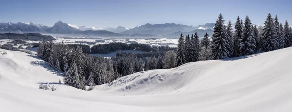 Panorama Landschap Met Alpen Bergketen Beieren Winter — Stockfoto