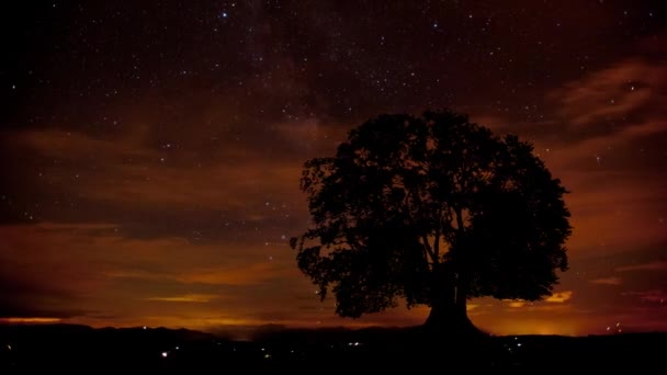 Movimento Forma Leitosa Nuvens Estrelas Atrás Uma Única Árvore — Vídeo de Stock