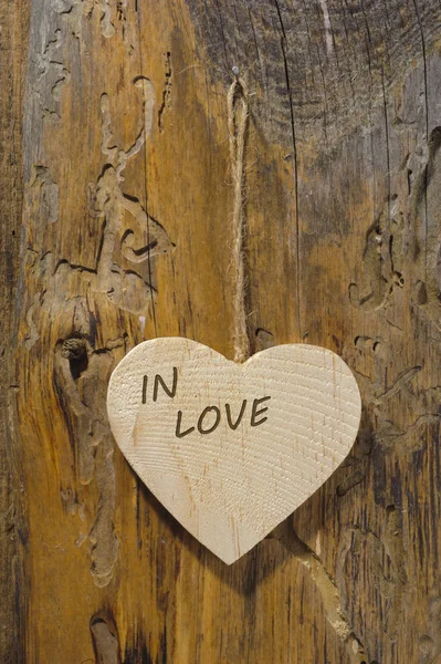 Aşk Romantizm Sembolü Olarak Ağaç Gövdesi Üzerinde Asılı Ahşap Kalp — Stok fotoğraf