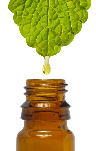 Капля Лекарственного Растения Падает Медицинскую Бутылку — стоковое фото