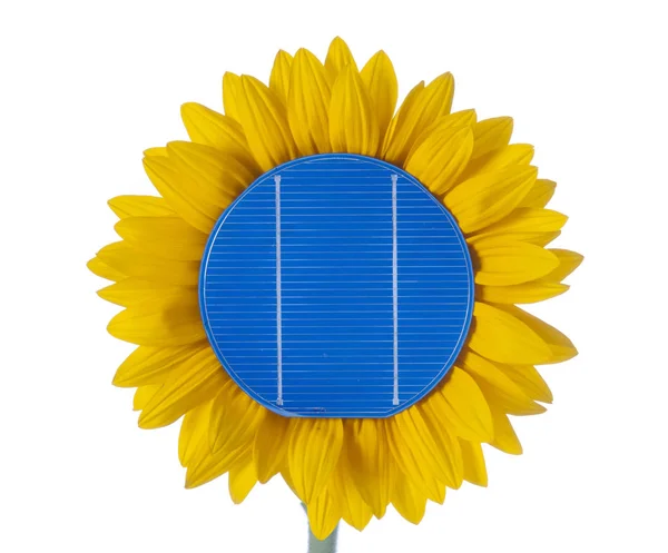 Paneles Solares Para Energías Renovables Con Girasol Simbólico — Foto de Stock