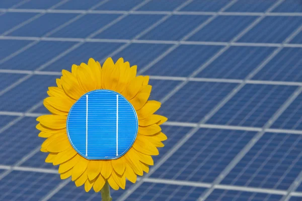 Solar Panels Renewable Energy Symbolic Sunflower — Stock Photo, Image