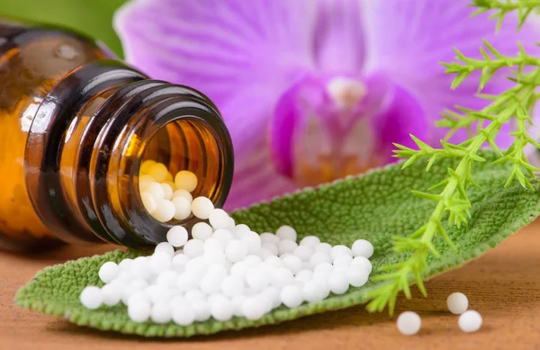 Alternative Und Kräutermedizin Mit Homöopathischen Pillen — Stockfoto