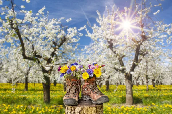 步行靴与美丽的鲜花在徒步旅行 — 图库照片