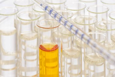  kimyasal laboratuvarda bilimsel deney