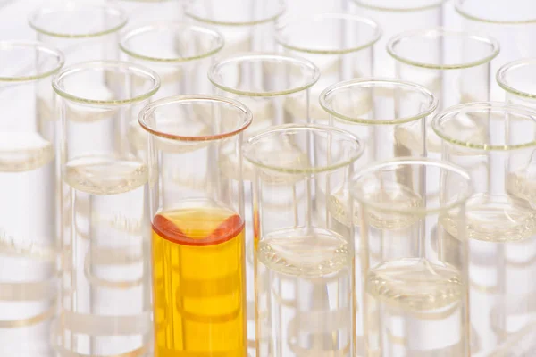 Experiência científica em laboratório químico — Fotografia de Stock