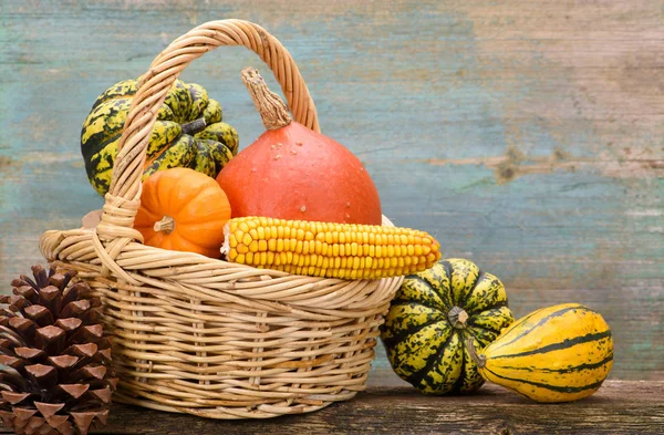 Decoración de otoño con calabaza y hojas — Foto de Stock