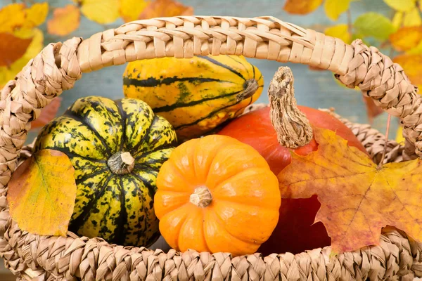 Autumn decoration with pumpkin and leaves in basket Stock Picture