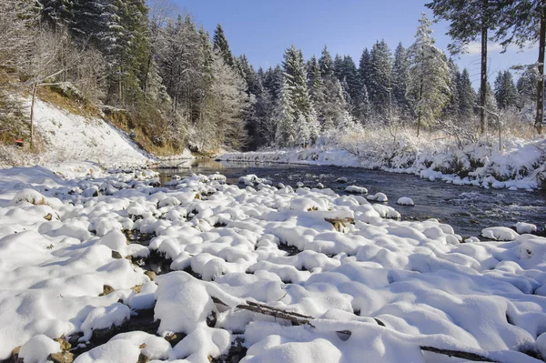 Natural River Ravinen Vid Kall Vinterdag — Stockfoto