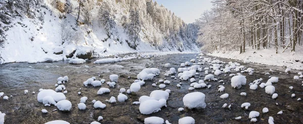 寒冷的冬日 峡谷中的天然河流 — 图库照片