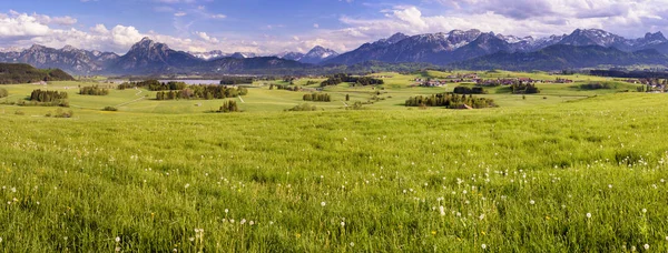 Panorama panoramico con catena montuosa e prato — Foto Stock