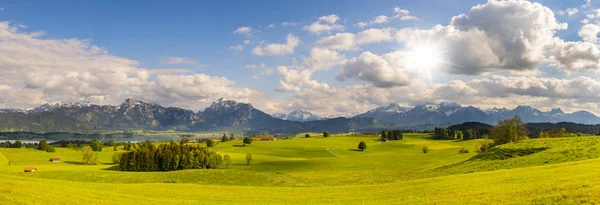 Панорамный пейзаж с горным хребтом и лугом — стоковое фото