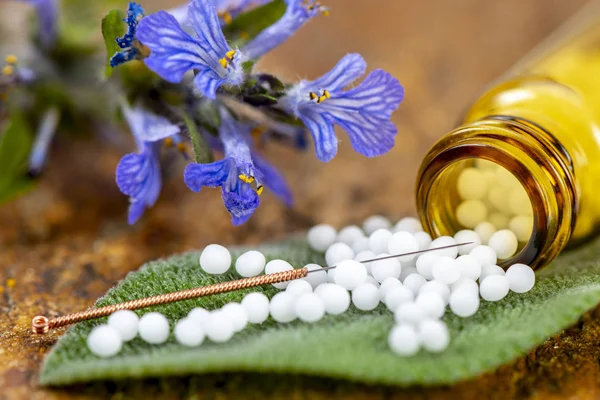 Medicina alternativa com homeopatia e pílulas de ervas — Fotografia de Stock